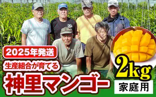 【2025年発送】生産組合が育てる神里のマンゴー2kg　家庭用