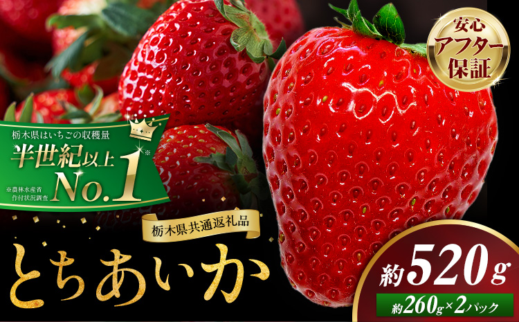 栃木 いちご とちあいか 2パック 520g 《1月中旬-5月上旬頃出荷》 栃木県 野木町 いちご イチゴ 苺 とちあいか 果物 フルーツ ジューシー 【配送不可地域】沖縄・離島