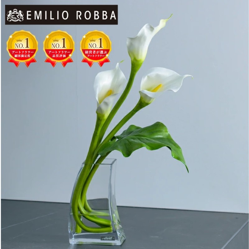 
            アートフラワーエミリオ・ロバ　カラー2L　TTNTS41200
          