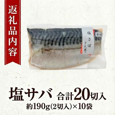 ふるさと納税 小千谷市 塩さば 合計20切 合計1900g (1袋約190g 2切×10袋) 個包装・真空パック |  | 01