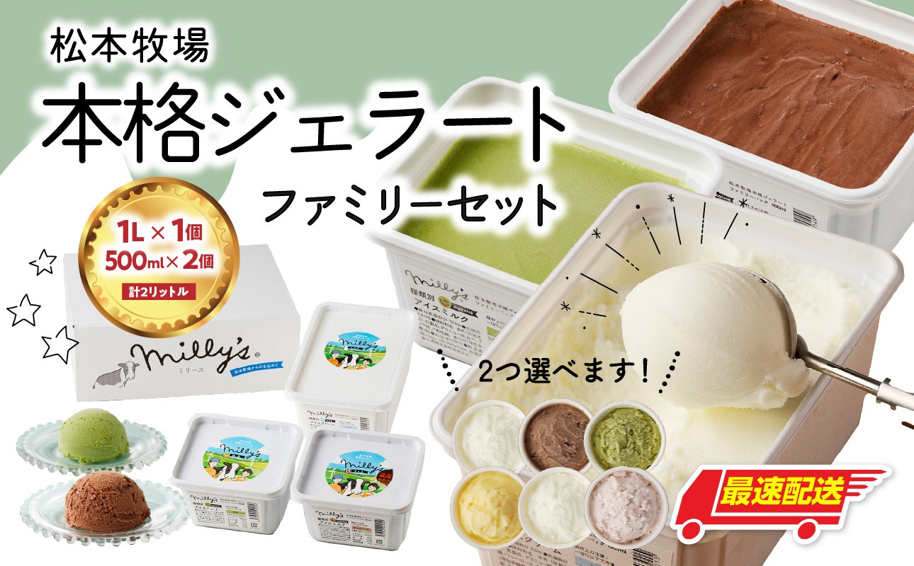 
            【お好みのフレーバー選べます！】松本牧場　本格ジェラートファミリーセット（1L×1個、500ml×2個　計2L）選べる 全6種類  生乳 アイス 業務用 贅沢 ジェラート デザート スイーツ アイスクリーム 菓子 ２個 セット ミルク いちごミルク 抹茶 バニラ チョコ みかんシャーベット 佐賀県 玄海町
          