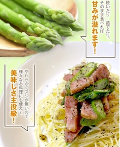 SB0879　グリーンアスパラガス 砂丘育ちの「甘えんぼう」　1.3kg