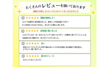 【2024年2月以降順次発送】ワケありメロン6玉入り（クラウンメロン）