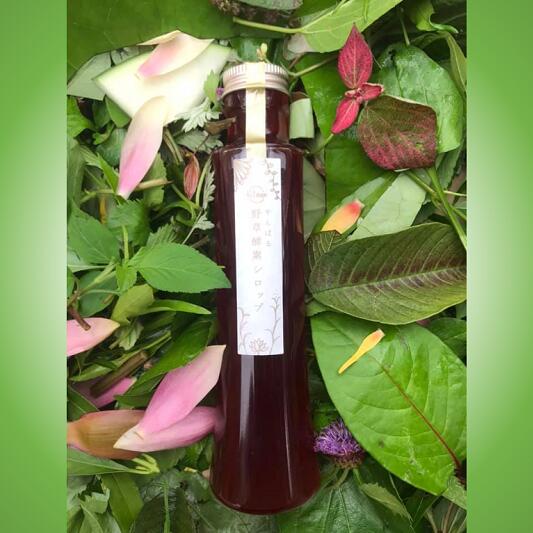 【ふるさと納税】緑豊かな大地から生まれた　やんばる野草酵素シロップ！(2本）