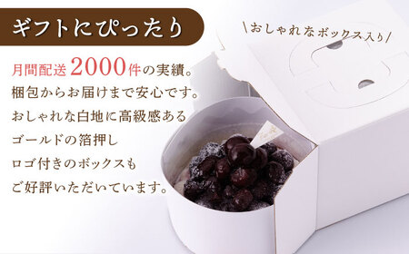 【全12回定期便】贅沢ダークチェリータルト(18cm)【心優 －Cotoyu Sweets－】[KAA458]