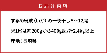 1904R_サイズは不揃いでも味は絶品!肉厚するめ烏賊一夜干し2.4㎏