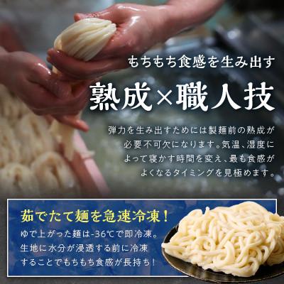 ふるさと納税 京丹後市 【2ヵ月毎定期便】京丹後つねよしの冷凍うどん 10玉入り(10食分)全3回 |  | 03