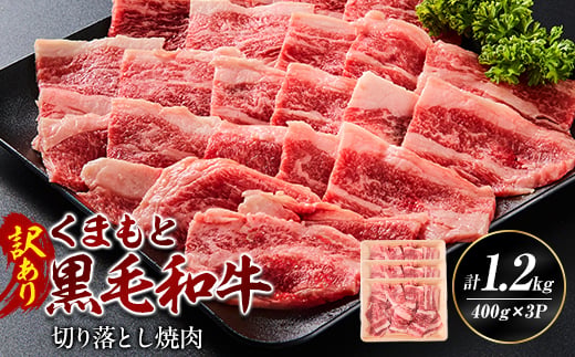 
                  ＜訳あり品＞くまもと黒毛和牛切り落とし焼肉 合計1200g(美里町)【1731741】
                
