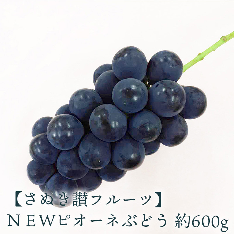 
            【ふるさと納税】ＮＥＷピオーネぶどう 約600ｇ さぬき讃フルーツ 甘さとジューシーさが詰まった最高級ピオーネ！ 大粒で食べごたえ抜群！ピオーネぶどう 風味豊かで甘い、完熟ピオーネ 新鮮さが自慢のさぬき讃フルーツのピオーネ  秋 旬
          