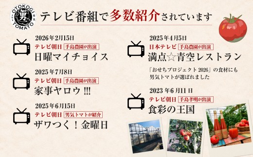 【先行予約】【限定30】男気トマトミニ 1箱 1kg 250kg×4袋 化粧箱入り | ミニトマト トマト プチトマト とまと 野菜 有機肥料 濃厚 完熟 低農薬栽培 無かん水栽培 凝縮 産地直送 農