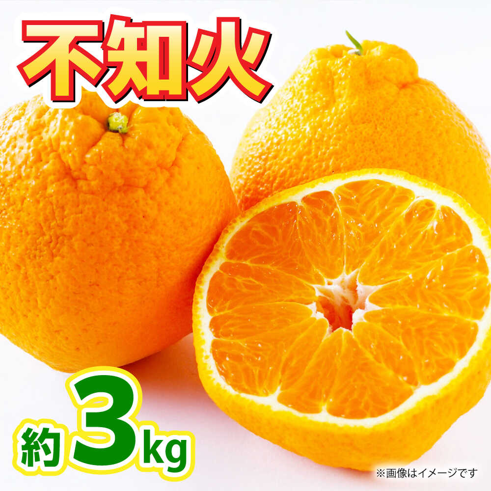 【ふるさと納税】【先行予約】不知火 約3kg 【くまふる】[ZBG080]