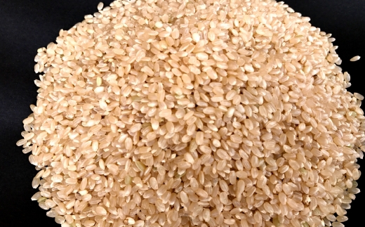 【 栽培期間中農薬不使用 】 こしひかり 玄米 5kg 茨城県共通返礼品 ・ 行方市産 お米 米 ご飯 おにぎり 和食 ブランド米 国産 茨城県産