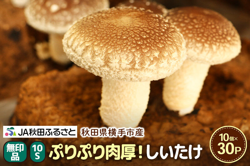 しいたけ 無印品 10S（約100g）×30パック [椎茸 しいたけ シイタケ きのこ]