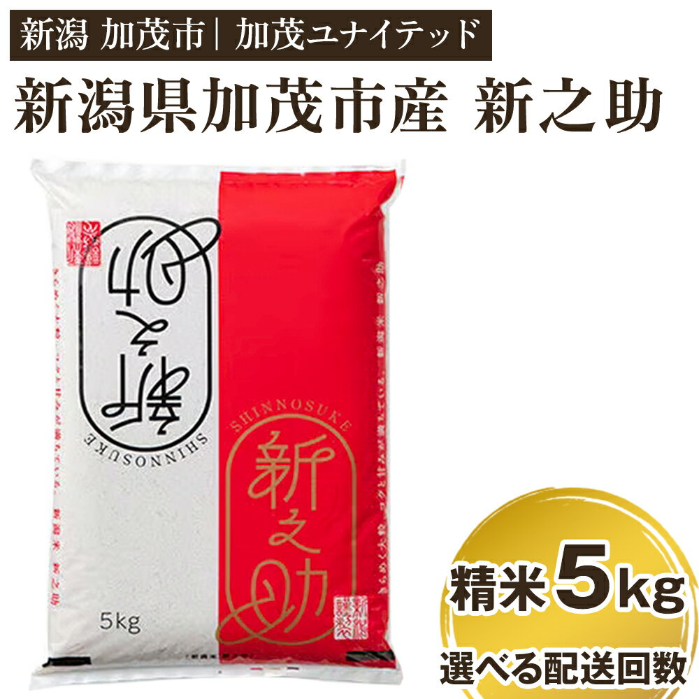【ふるさと納税】【令和7年産新米先行予約】新潟県産 新之助 精米5kg 選べる配送回数 （通常配送1回〜定期便12回） 《10月上旬から順次発送》 精米 白米 新潟 ブランド米 加茂市 加茂ユナイテッド