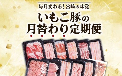 【定期便】宮崎県産 いもこ豚 月替わり定期便