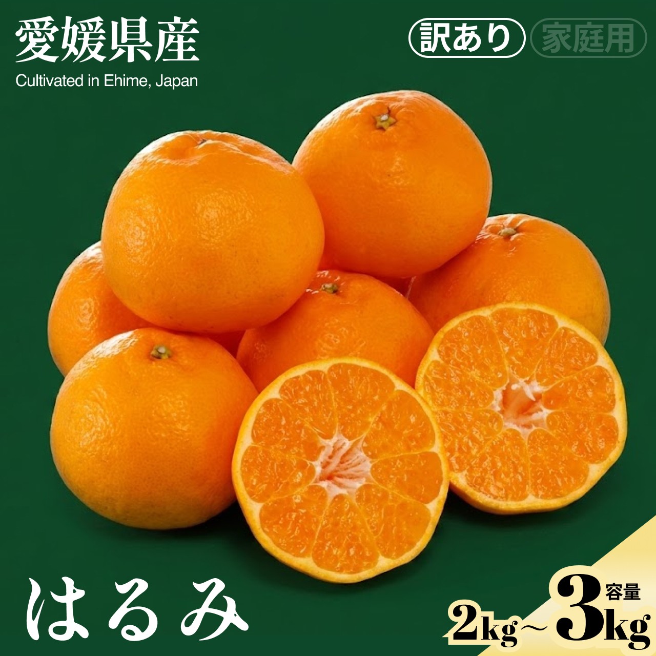 ＜はるみ（訳あり）合計約2/3kg＞『2027年2月中旬～3月下旬迄に順次出荷予定』訳アリ わけあり プチプチ食感 ジューシー 蜜柑 ミカン 果汁 果物 くだもの フルーツ 柑橘 あまい 季節 旬の果物 特産品 お取り寄せ NOT FARM 愛媛県 西予市 【常温】