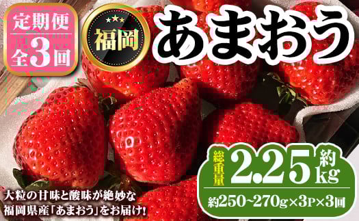 
            《先行予約受付中・数量限定》＜定期便・全3回＞2026年1月からお届け！いちご定期便 あまおう(総重量約2.25kg・約250～270g×3P×3回) いちご 苺 あまおう くだもの フルーツ 定期便 ＜離島配送不可＞【ksg1255】【THE FARM_strawberry】
          