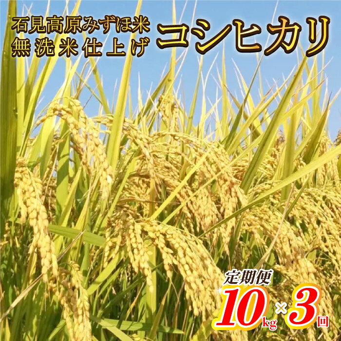 【ふるさと納税】【定期便】令和7年産産高原みずほ米コシヒカリ 無洗米仕上 10kgx3回