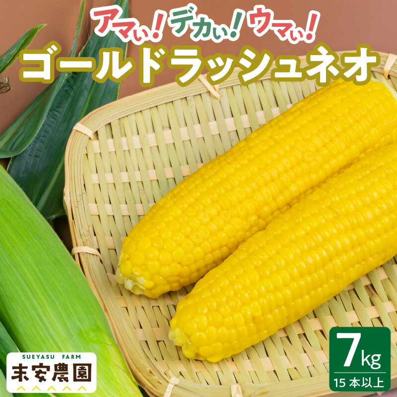 【ふるさと納税】とうもろこし 7kg 15本以上 朝採れ スイートコーン 農家直送 ゴールドラッシュネオ 甘い 1年のうちの1ヶ月しか味わえない まるでフルーツ Sueyasu farm 新鮮 粒皮がやわらかい 焼きとうもろこし コーン 末安農園 福岡県 久留米市 お取り寄せ 野菜 送料無料