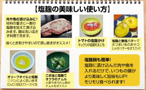 旨味を引き出す塩麹5本セット 発酵食品 伝統食品 そよかぜ