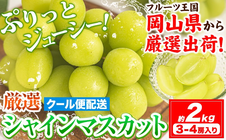 【2026年発送先行予約】シャインマスカット 約2kg (3-4房入) 《2026年9月上旬-11月中旬頃出荷》ぶどう ブドウ 葡萄 マスカット 果物 フルーツ ギフト 岡山県 笠岡市 フルーツ マスカット---kasaoka_zsy_222_20---