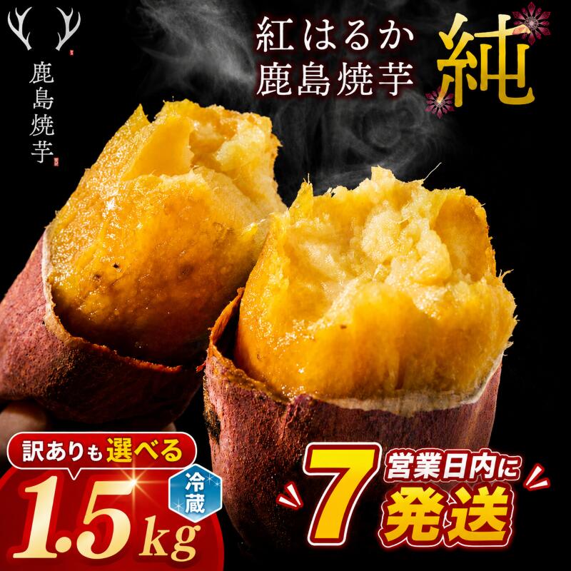 【ふるさと納税】 【スピード発送】 冷やし焼き芋 紅はるか 約1.5kg 訳あり も選べる 冷蔵 熟成 ひやし 焼き芋 やきいも さつまいも 芋 鹿島焼芋 純 お菓子 おやつ デザート スイーツ 和菓子 和スイーツ ねっとり 甘い 美味しい ご家庭用 人気 送料無料 茨城県 鹿嶋市