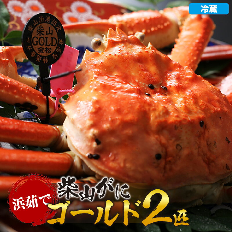 【ふるさと納税】 《先行予約》浜茹で柴山ゴールド【2匹入】＼柴山がに・ゴールドタグ付きが一度に2匹も揃う奇跡／ 【令和8年11月中旬以降発送予定】カニ 国産 冷蔵 かに 高級かに ズワイガニ ボイル かにすき 焼きガニ 柴山ゴールド 蟹 兵庫県 香住産 06-24 送料無料