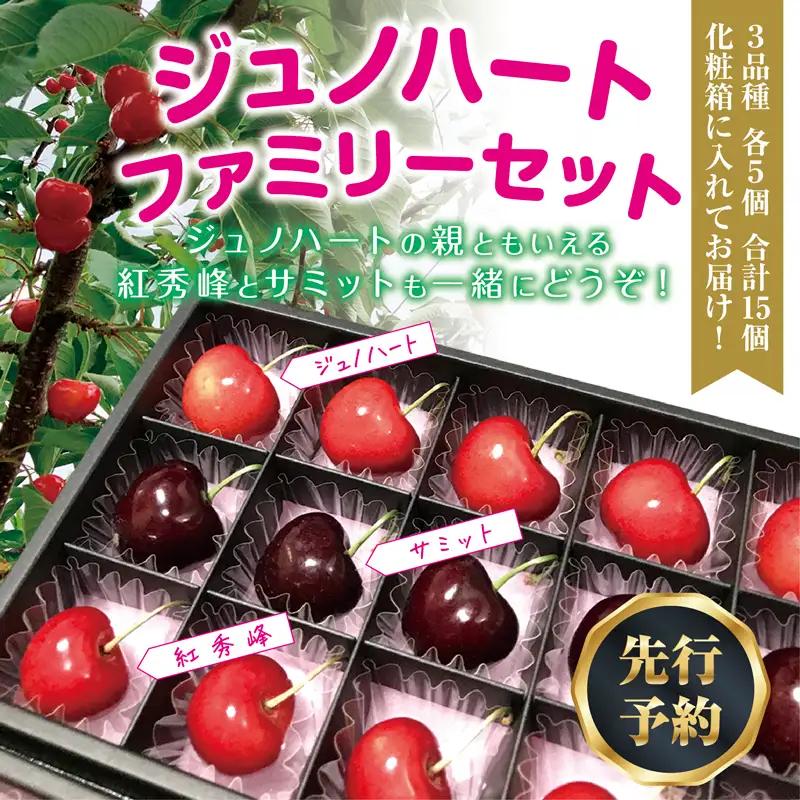 【食べ比べ3種】 さくらんぼ＜ジュノハート/サミット/紅秀峰＞ 各5粒・全15粒