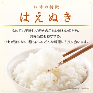 《先行受付》令和7年産　山形県産　はえぬき　10kg(5kg×2袋)_米 こめ 白米 精米 精白米 はえぬき 山形県 ブランド米 産地直送 人気 おすすめ 贈答 ギフト プレゼント 送料無料 お取り寄