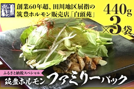 ふるさと納税限定仕様　ファミリーパック【味付ホルモン440g×3、自家製煮込タレ×3、つけタレ×1】白頭苑 ホルモン ホルモン鍋