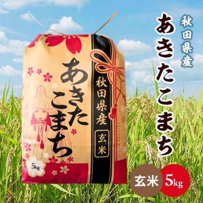 ふるさと納税 潟上市 【毎月定期便】秋田県産あきたこまち 5kg(玄米)　全6回
