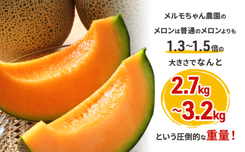約3kgの特大 富良野メロン×2玉　富良野 メロン 赤肉 大きい ビッグサイズ 贈答 家族