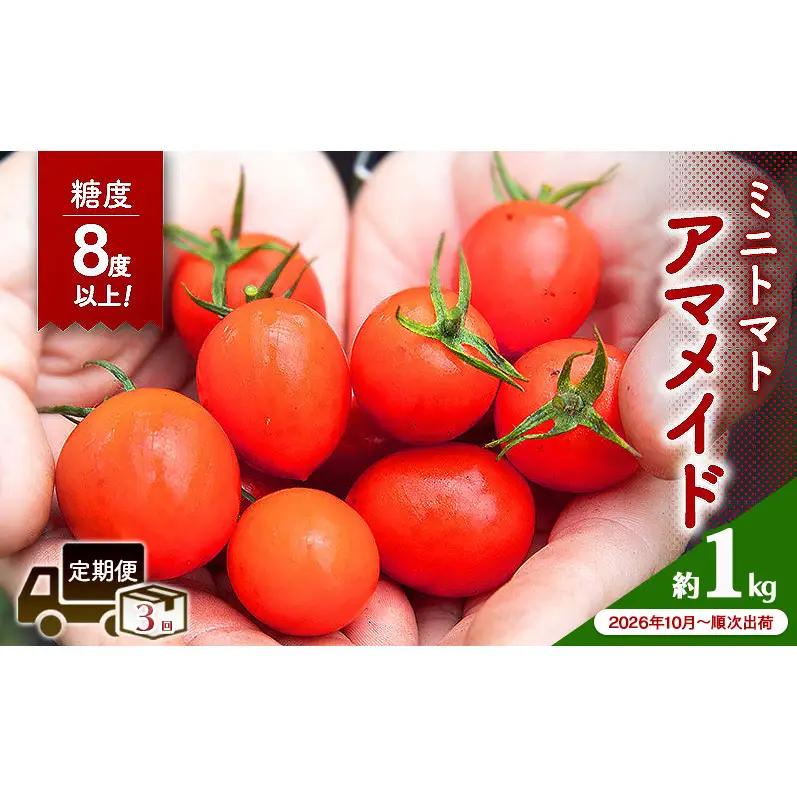 糖度8度以上 ミニトマト アマメイド 1kg 高糖度 定期 3回 2026年10月～順次出荷