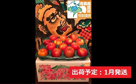 りんご 【 1月発送 】 訳あり 家庭用 葉とらず サンふじ 約 10kg 青森県特別栽培農産物認証農園 【 弘前市産 青森りんご  果物類 林檎 リンゴ  】
