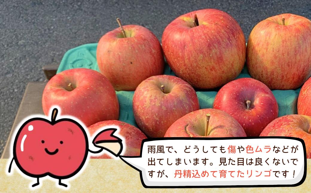 りんご 訳あり サンふじ 約10kg