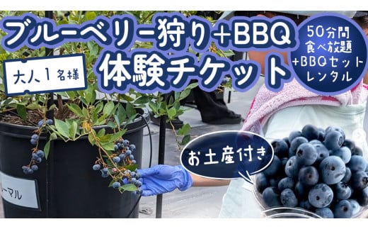 【寄附受付は2025年8月5日まで】 ブルーベリー狩り ＋ DAYキャンプ 体験チケット 《大人１名様プラン レンタルBBQ道具＋お土産付き》 ブルーベリー ベリー 食べ比べ  食べ放題 収穫 収穫体験 キャンプ BBQ バーベキュー 肉 旅行 レンタル 体験 チケット 招待券 レジャー 観光 ふれあい お土産 おみやげ 持ち帰り テイクアウト 多品種 果実 果物 くだもの [DZ012sa]