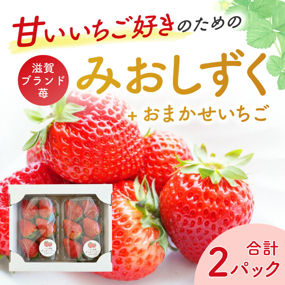 【ふるさと納税】【期間限定】《2026年5月31日まで》いちご2パック(みおしずく+おまかせ) いちご農園ぐっど・べりー 滋賀県 東近江市 O-G11 いちご 苺 みおしずく 滋賀県産 食べ比べ フルーツ 果物 デザート 旬 直送 2パック