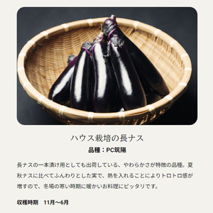 【定期便3回】旬を味わうナス 約3kg