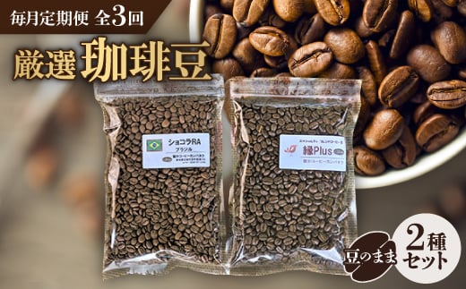 
＜毎月定期便＞お楽しみ　厳選珈琲豆100g(豆のまま)×2種類セット全3回【4004562】
