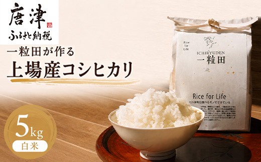 
                  一粒田が作る上場産コシヒカリ 5kg (白米) 精米 コメ お米 ごはん こしひかり
                