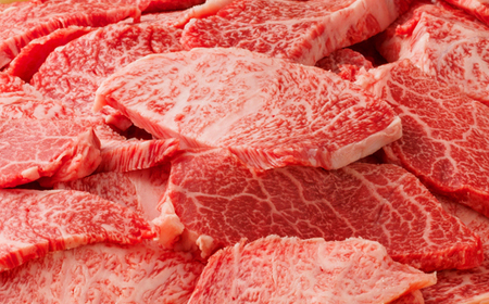 【A5】鳥取和牛ふぞろい焼肉切り落とし 500g【肩ロース サーロイン 三角バラ ランプ ヒレ ランダム 焼き肉 やきにく 切落し 切り落し 和牛 不揃い ご自宅用 ギフト 熨斗 プレゼント お取り寄