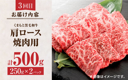 【6回定期便】くまもと黒毛和牛 贅沢定期便（ステーキ すき焼き しゃぶしゃぶ 焼肉）【馬刺しの郷 民守】 和牛 お肉 肉 ステーキ サーロイン ヒレ ヒレステーキ 熊本ヒレステーキ くまもとヒレステー