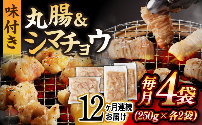 
            【全12回定期便】【塩だれ】九州産和牛 ホルモン 2種 計1kg（ シマチョウ 250g×2袋・ 丸腸 250g×2袋） 長与町/岩永ホルモン [EAX153] ホルモン焼き 国産 牛肉 ホルモン ミックス 小分け 味付き 冷凍 焼肉 焼き肉 和牛 塩 しお 牛 定期便 ていきびん 定期
          