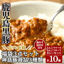 【ふるさと納税】鹿児島黒豚「霧島熟成神話豚」レトルトカレー福袋3点セット！カレー レトルトカレー キーマカレー ポークカレー レトルト食品 レトルト 鹿児島黒豚 熟成カレー 豚肉 常温 温めるだけ 鹿児島 豚味噌 おかず味噌 肉みそ 肉味噌 豚みそ 小分け 惣菜【富士食品】