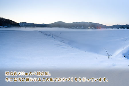 米 ミルキークイーン 精米10kg 八幡高原米 風のあしあと ぶなの里 米どころ北広島町のおいしいお米_BU082_002
