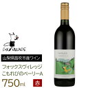 【ふるさと納税】こもれびのベーリーA　750ml ふるさと納税 ワイン 笛吹市 山梨ワイン 酒 アルコール 山梨県 記念品 お祝い 送料無料 165-017