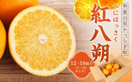 先行予約！希少な紅はっさく 12～18個入り（L～2Lサイズ）［2026年1月中旬頃から発送］［KG9］