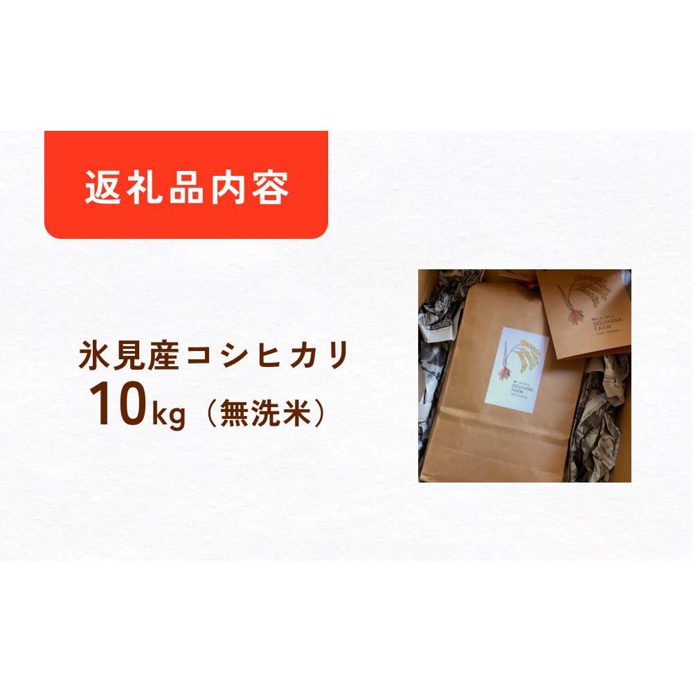 令和6年産 富山県氷見産 コシヒカリ 無洗米 10kg 富山県 氷見市 米 こしひかり_イメージ4