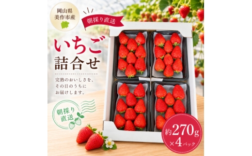 【2027年1月発送開始】【訳アリ】岡山県美作市産　いちご詰合せ(約270g×4パック)_いちご イチゴ 苺 ストロベリー 詰合せ 4パック 朝採り 果物 くだもの フルーツ デザート 甘い 産直 産地直送 岡山県 国産 ギフト プレゼント 送料無料【1073695】