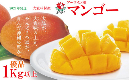 マンゴー【2026年発送】大宜味村産 アーウィン種マンゴー　優品1キロ以上 フルーツ 果物